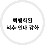 퇴행화된 척추, 인대 강화